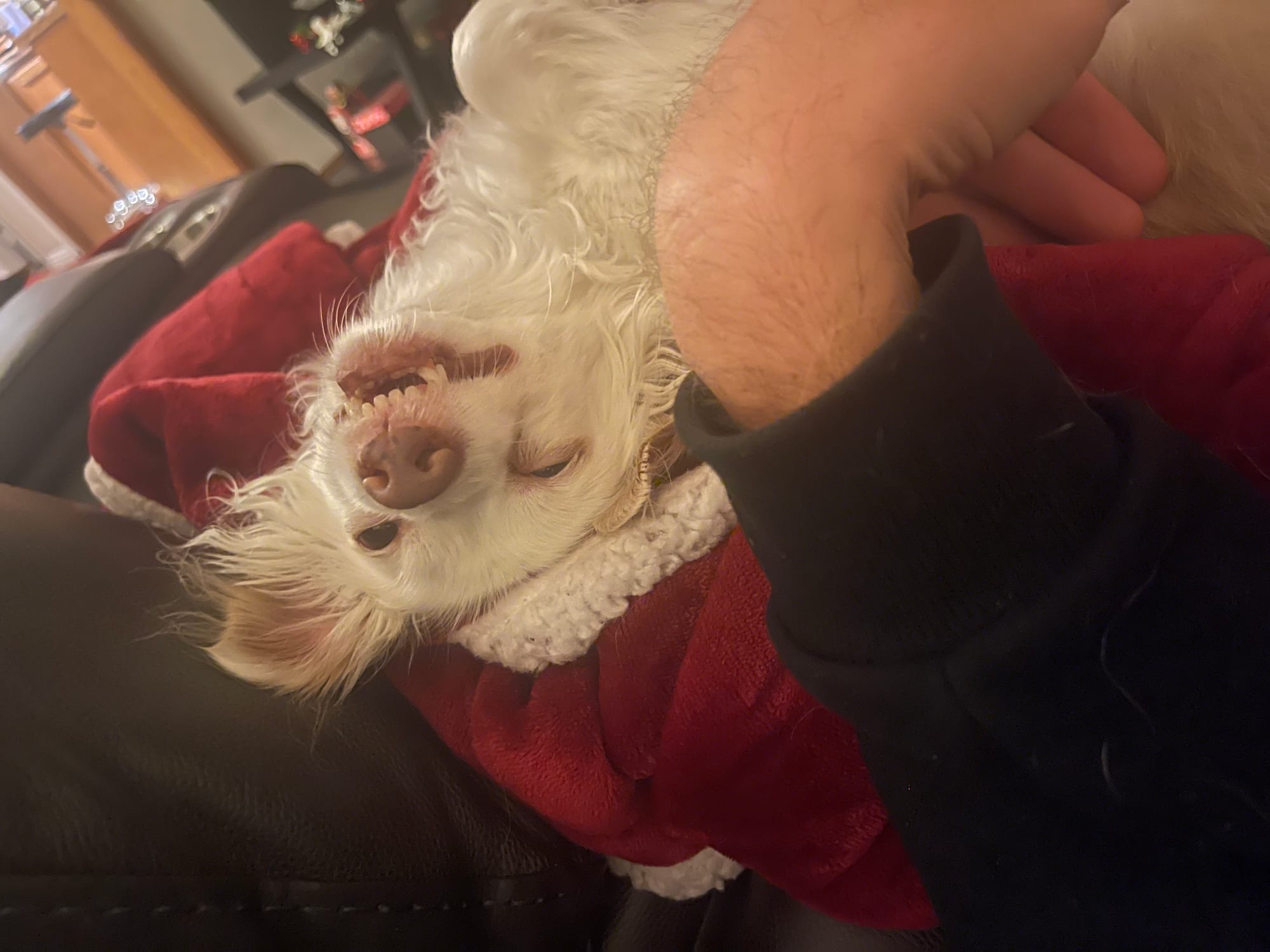 [DIGEST] I never asked for a whole new year...