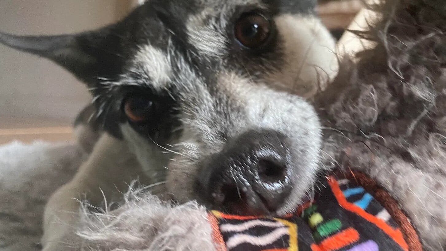 [DIGEST] Recovery...