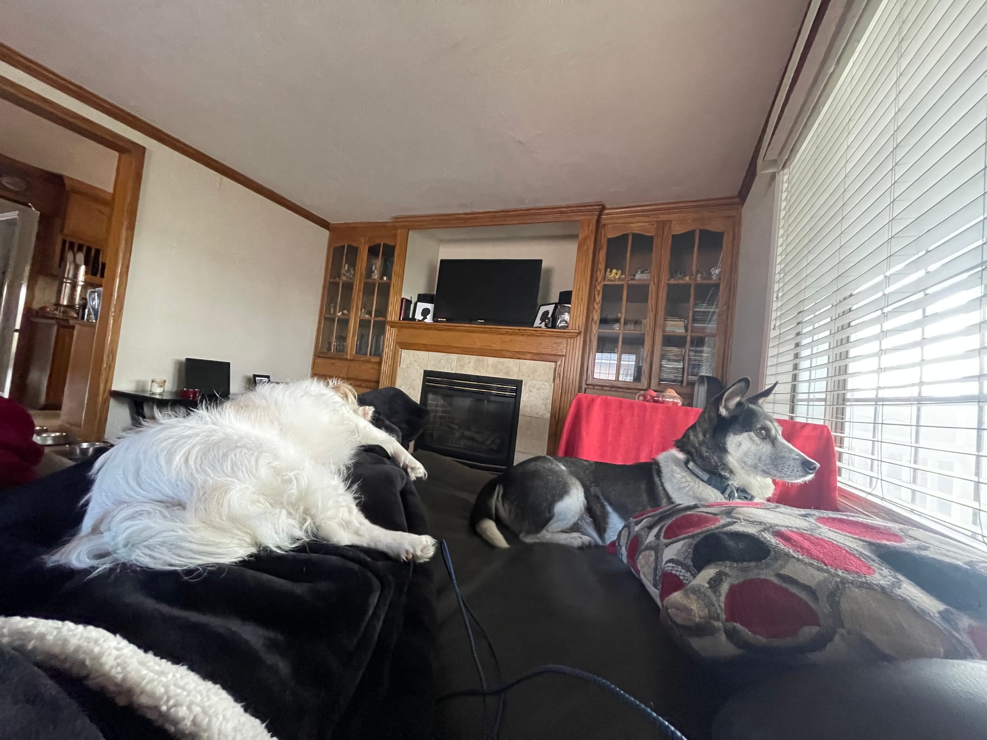 [DIGEST] Wanna hear something wild?