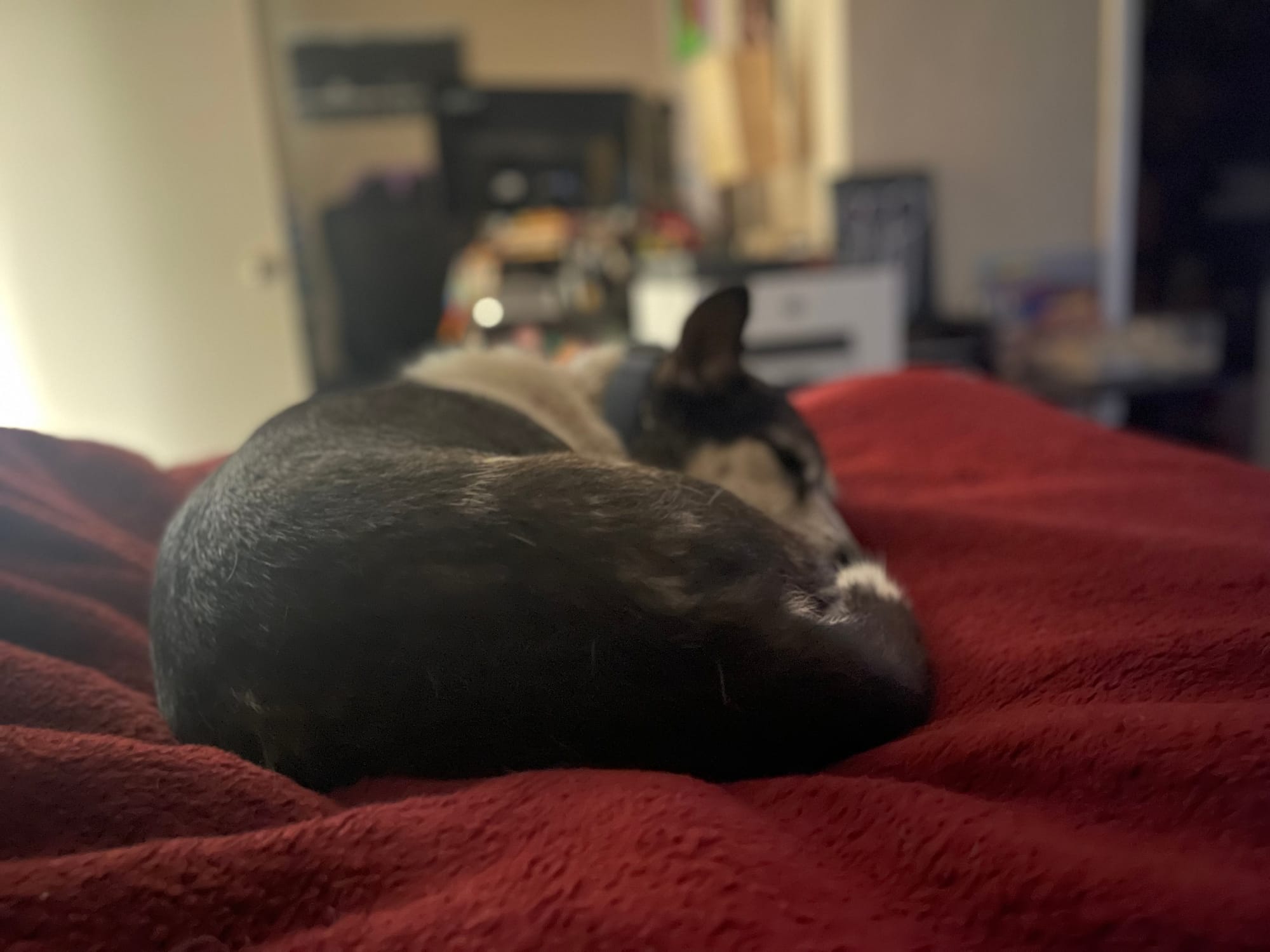 [DIGEST] Feeding people poisonous ice cream is prolly a bad business decision...