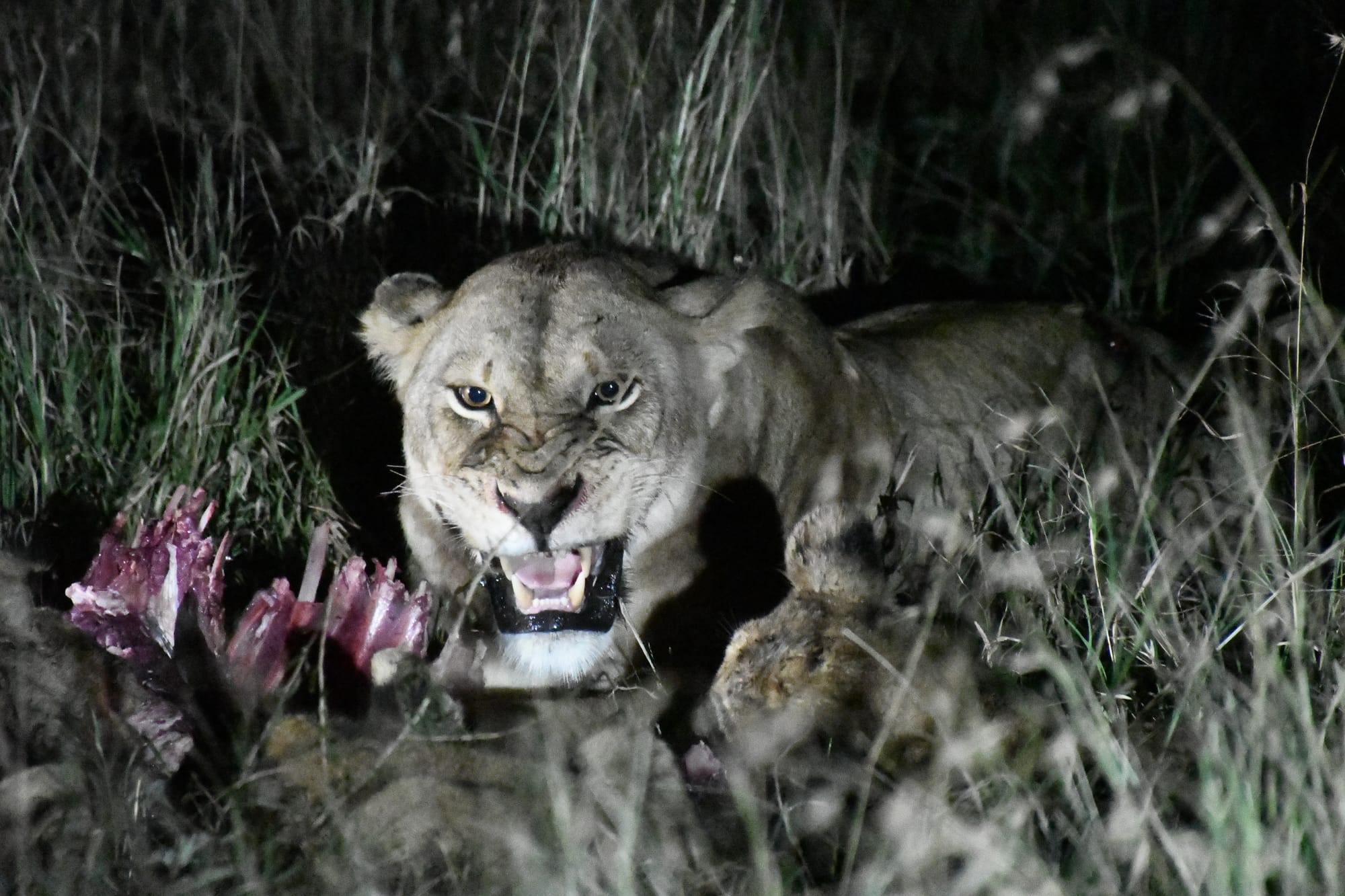 [DIGEST] The long way home...