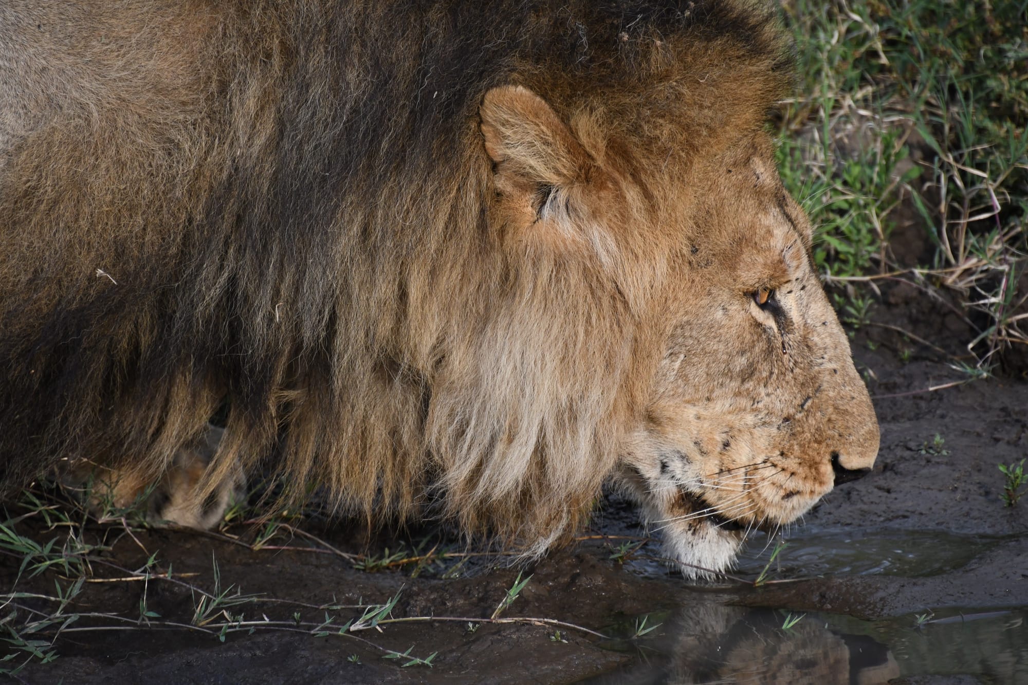 [DIGEST] Vacation, had to get away...